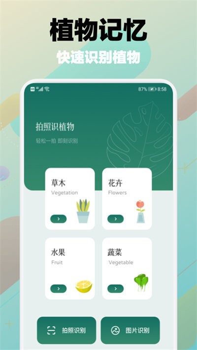 樹(shù)林記憶截圖
