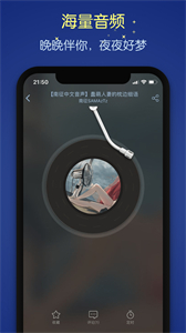 貓耳夜聽