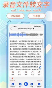 語音識別助手截圖