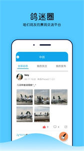 中鴿網(wǎng)賽事直播