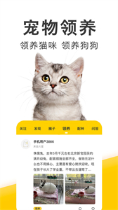 有只寵物