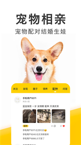 有只寵物截圖