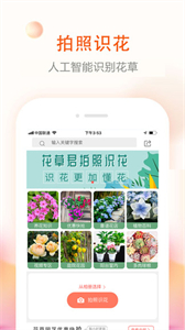 花草君截圖