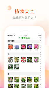花草君截圖
