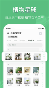 花將