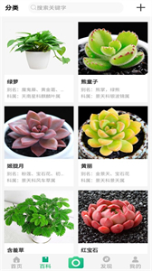 御花園養(yǎng)花截圖