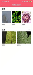 櫻桃醫(yī)生截圖