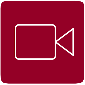 video live wallpaper漢化版