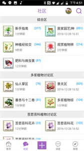踏花行最新版