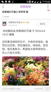 踏花行最新版截圖