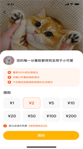 財貓雙犬