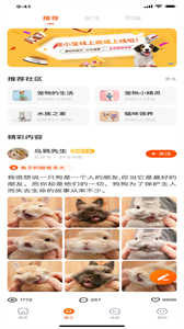 財貓雙犬截圖