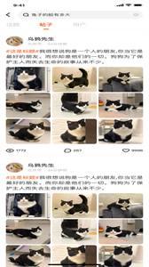 財貓雙犬截圖