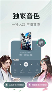 書旗小說舊版截圖