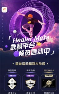 healer meta數(shù)藏截圖