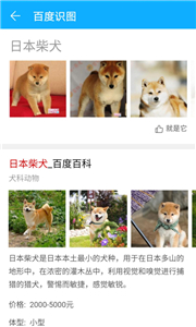 百度識(shí)圖截圖