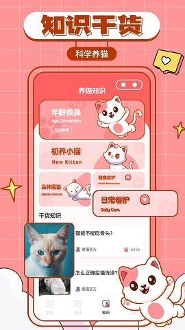 貓咪翻譯物語