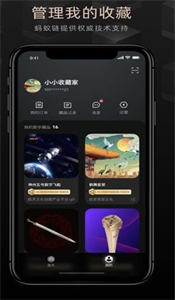 CERKA奇咖數(shù)字藏品截圖