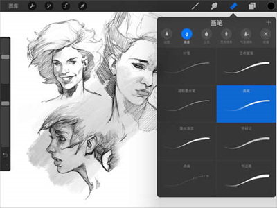 procreate正版截圖