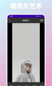 Art元藝術(shù)數(shù)字藏品截圖