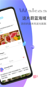 Walsea截圖