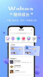 Walsea截圖