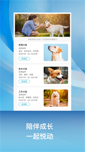 小兔樂跑截圖