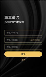 元之初數(shù)字藏品截圖