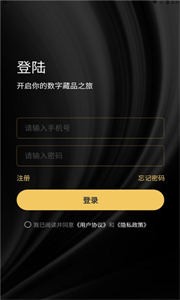 元之初數(shù)字藏品截圖