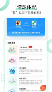 懂球體育