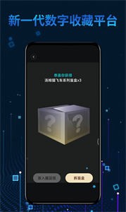 光鏈數(shù)字藏品截圖