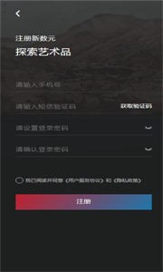 新數(shù)元數(shù)字藏品截圖