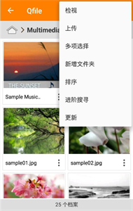 Qfile截圖