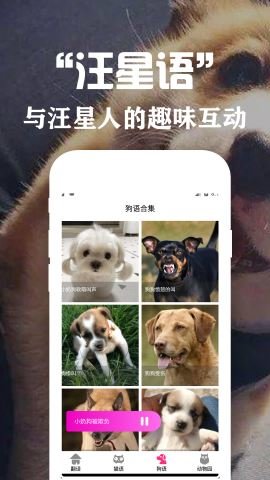 狗狗貓交流翻譯器截圖