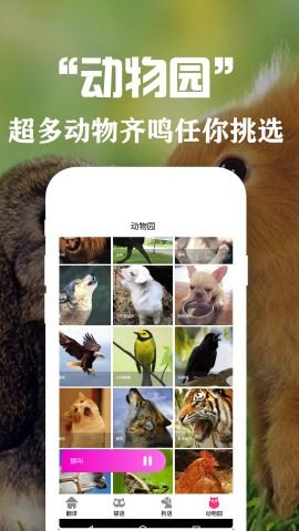 狗狗貓交流翻譯器截圖