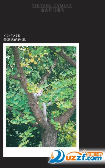 复古怀旧相机截图1