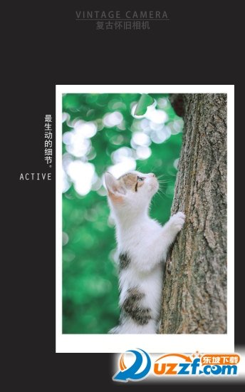 复古怀旧相机截图4