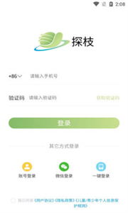 探枝截圖