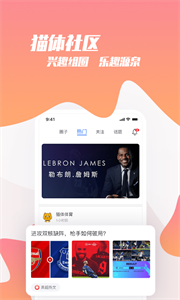 貓體比分