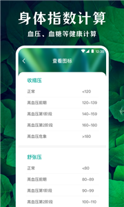 薄荷廣場舞截圖