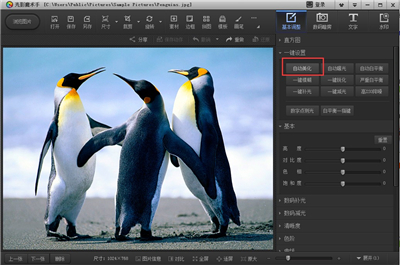 光影魔术手绿色版