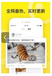 皂皂社交