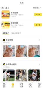 種貓家截圖