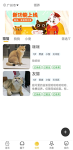 種貓家截圖