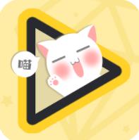 主題皮膚透明