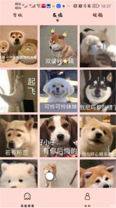 漢克狗