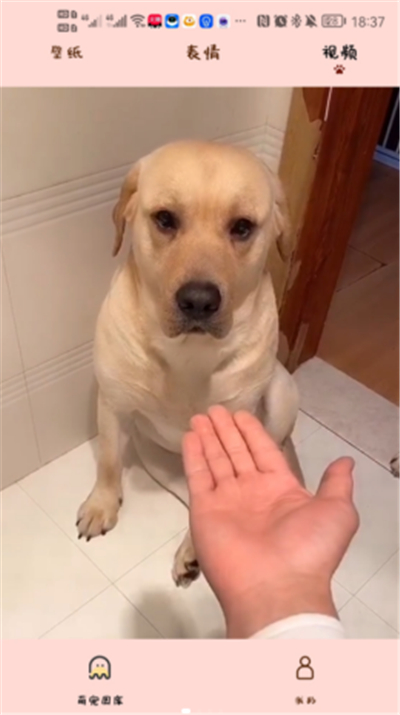 漢克狗截圖