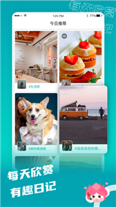 拍照日記截圖