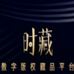 時藏數字藏品