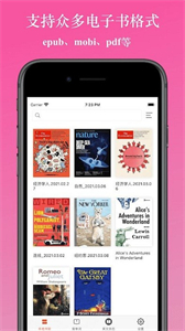ereader